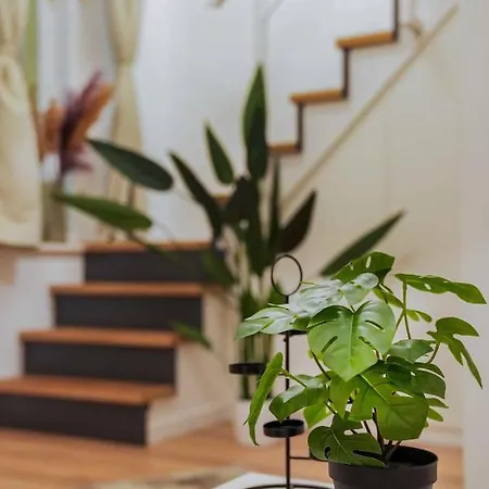 Greenlight Gallery By Newave Apartament Budapeszt