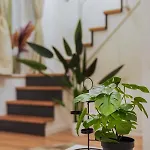 Greenlight Gallery By Nw Appartamento Budapest